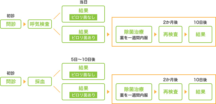 検査～除菌までの流れ画像